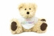 Web to Print Solution to sell Personalized Teady Bears